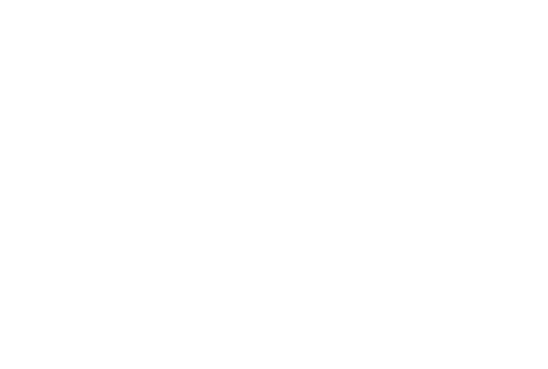 Logo 11