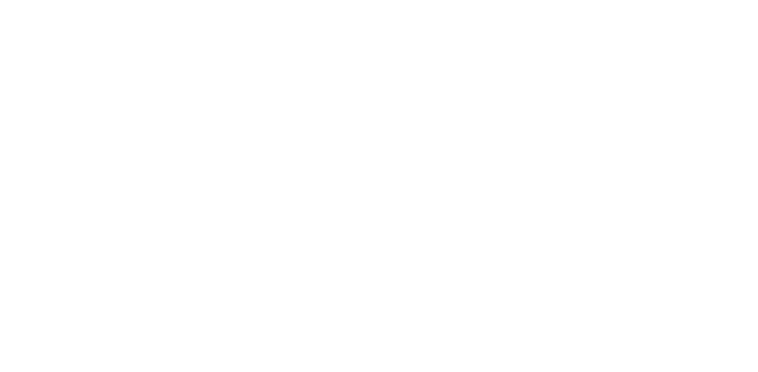 Logo 13